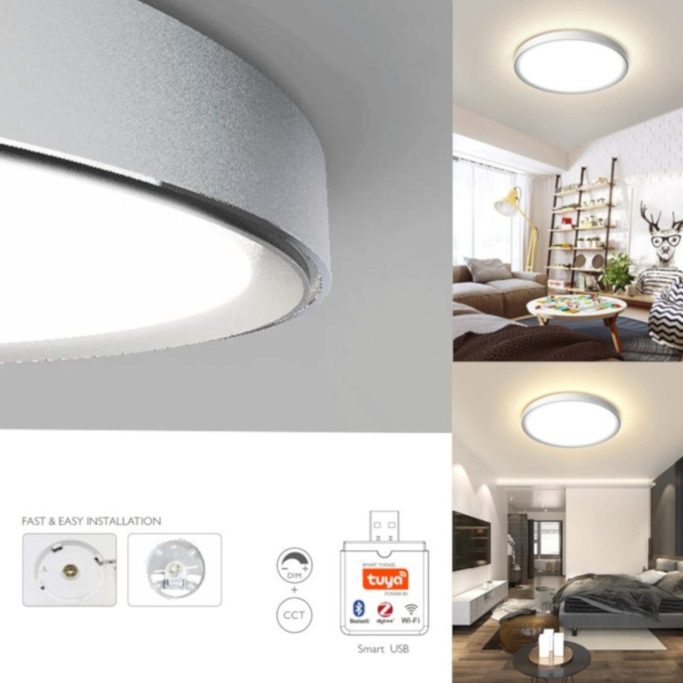 Deckenleuchte mit modernem, flachem Design in einem stilvollen Innenraum.