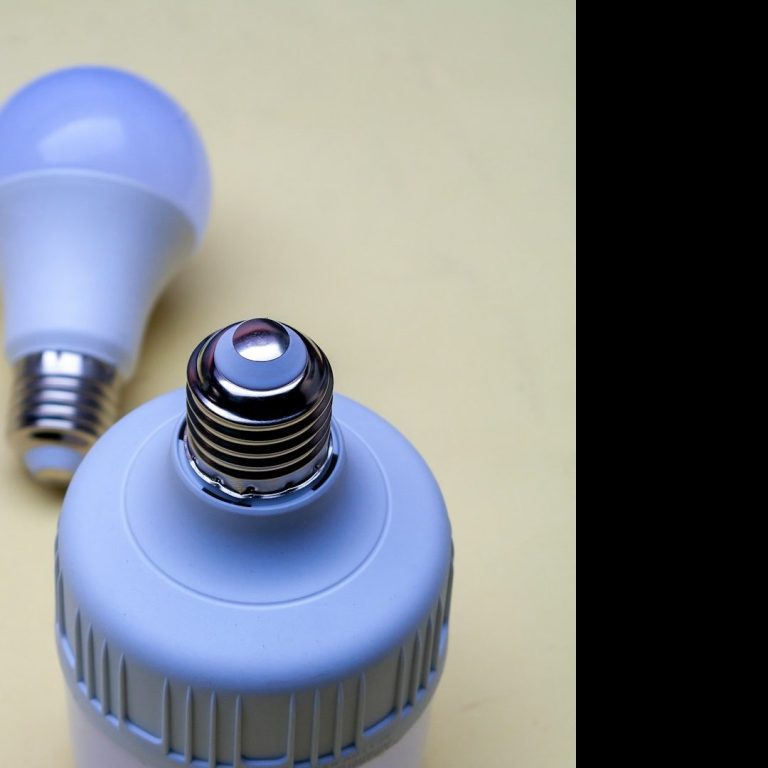 Zwei LED-Lampen, eine mit Glühbirnenform und eine mit Schraubsockel.