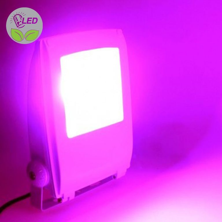 LED-Pflanzenbeleuchtung mit pinkem Licht in einem modernen Gehäuse.